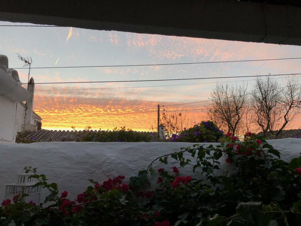 Minorque privee lever soleil sur fleurs